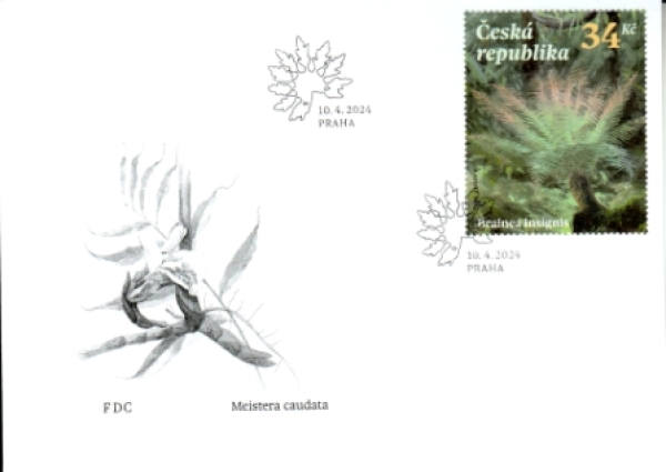 FDC 1253 / 1255 ● - 2024